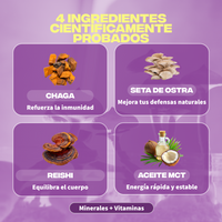 immunite ingredients chaga pleurote reishi huile mct mineraux vitamines