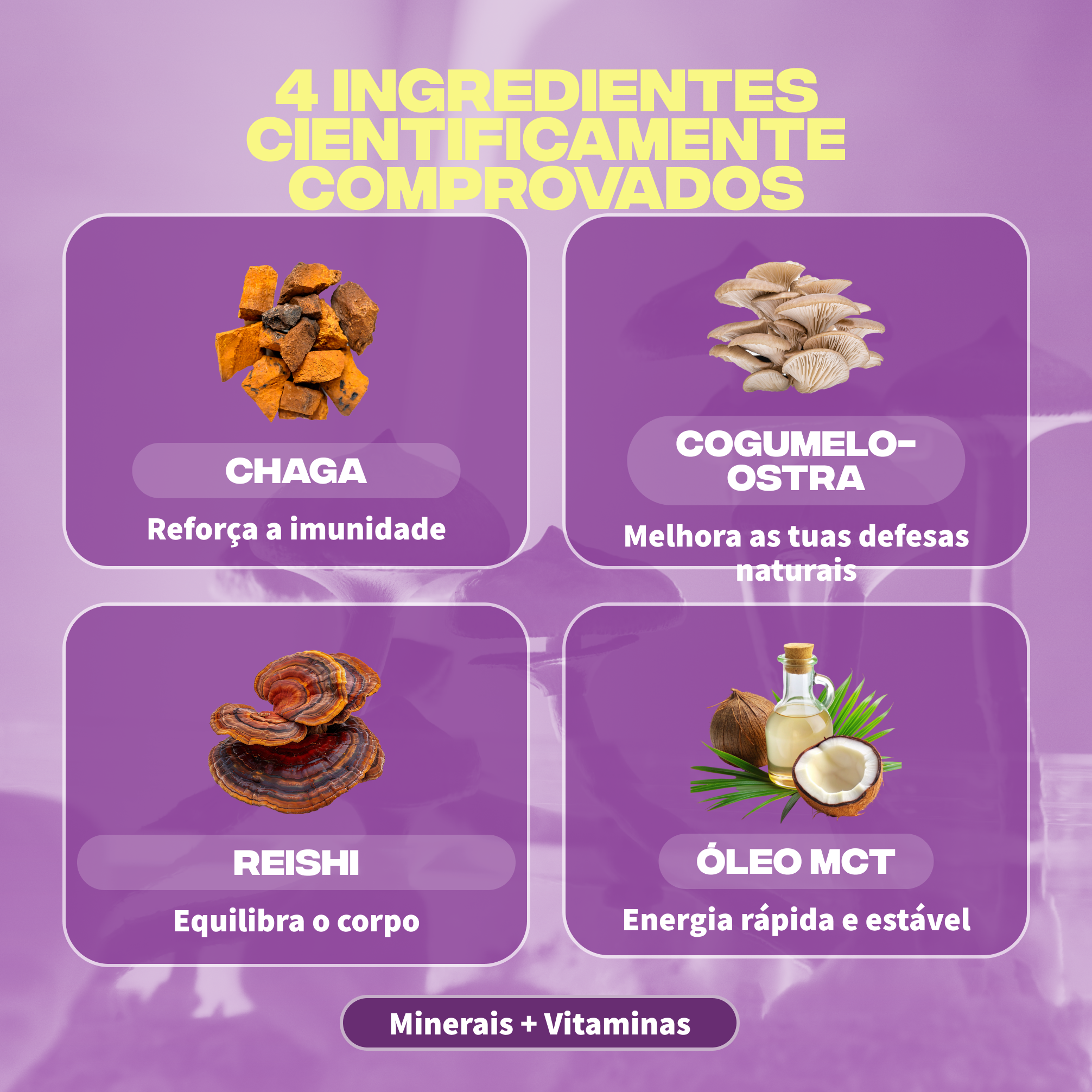 immunite ingredients chaga pleurote reishi huile mct mineraux vitamines