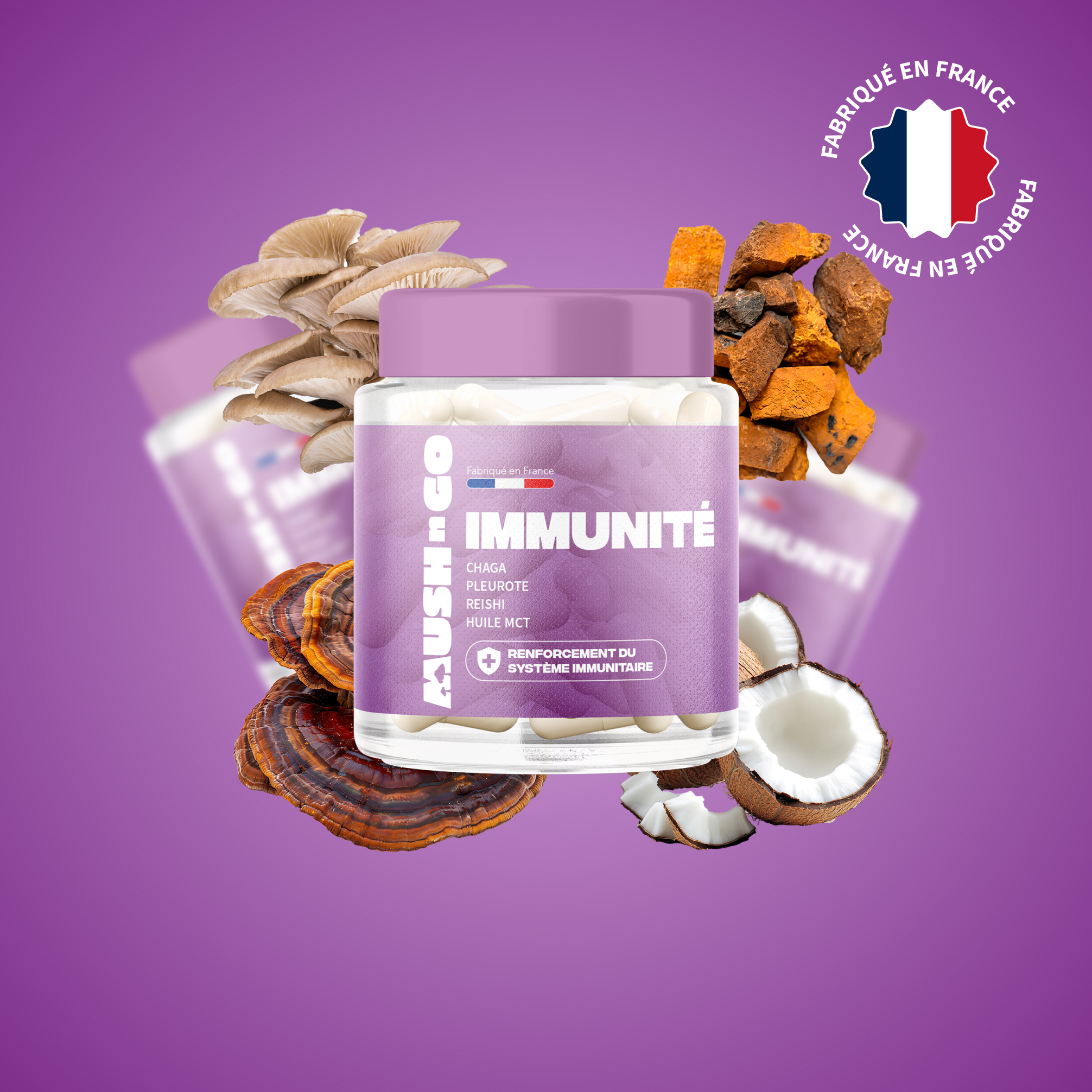 immunite mush n go complement chaga reishi pleurote systeme immunitaire