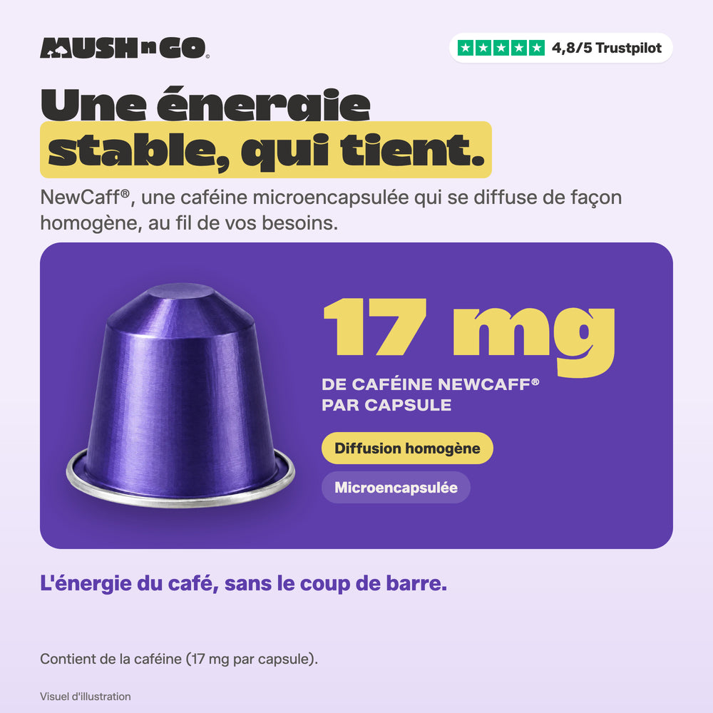 Mush Caps · Ultime - Image 3