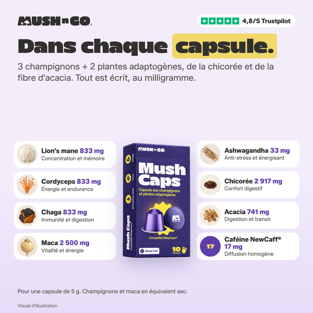 Mush Caps · 10 capsules - Image 2