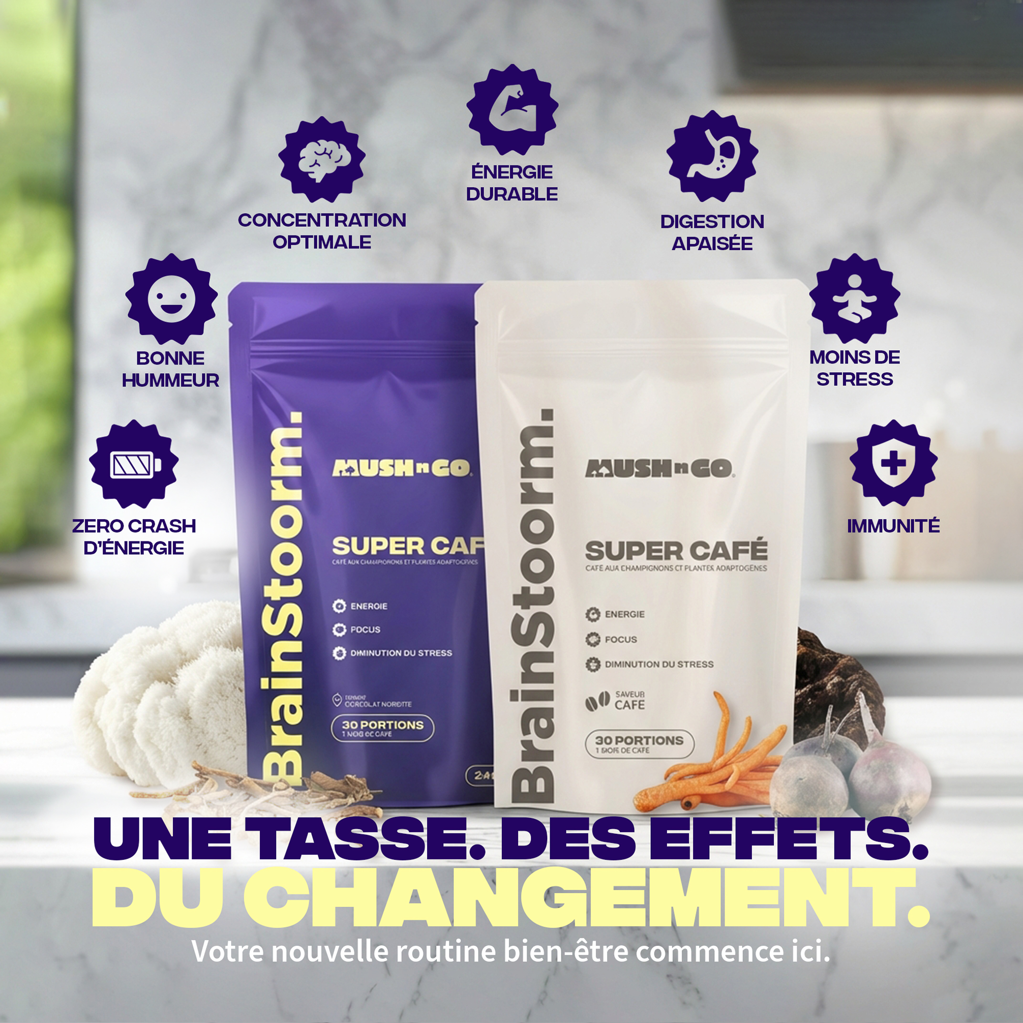 Bienfaits Pack Café Brainstoorm - concentration énergie digestion immunité zéro crash - Mush n Go
