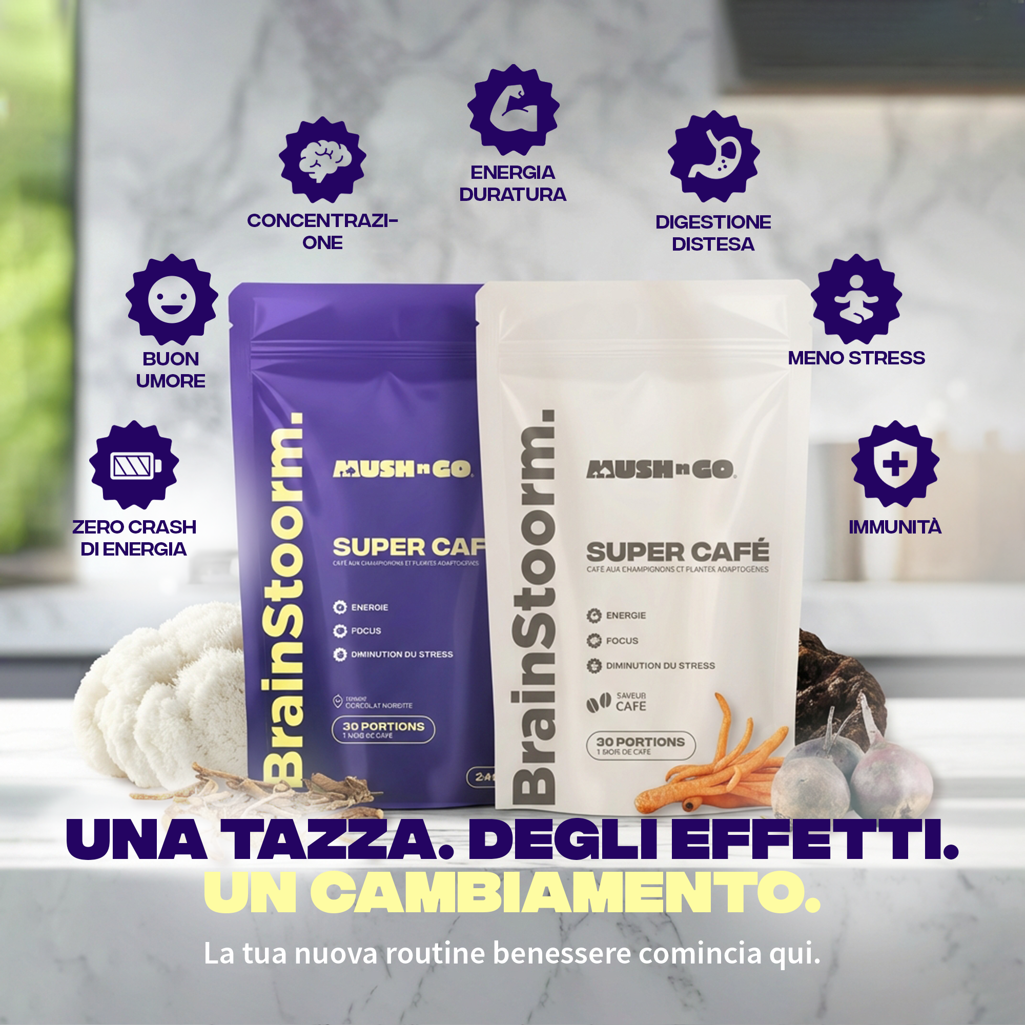 Pack Café IT
