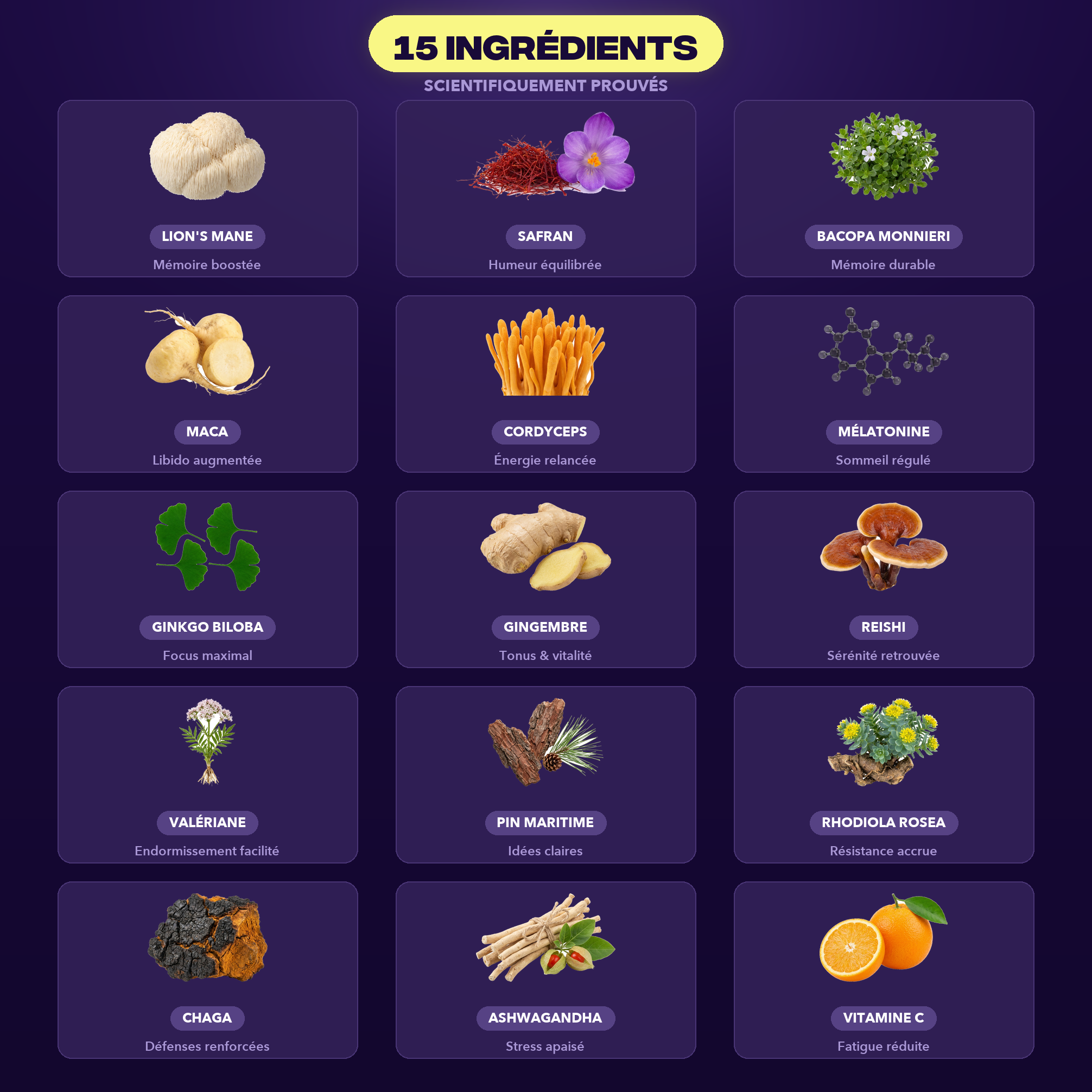 Les 15 ingrédients du Pack Découverte Mush n Go - Lion's Mane, Safran, Bacopa Monnieri, Maca, Cordyceps, Mélatonine, Ginkgo Biloba, Gingembre, Reishi, Valériane, Pin Maritime, Rhodiola Rosea, Chaga, Ashwagandha et Vitamine C