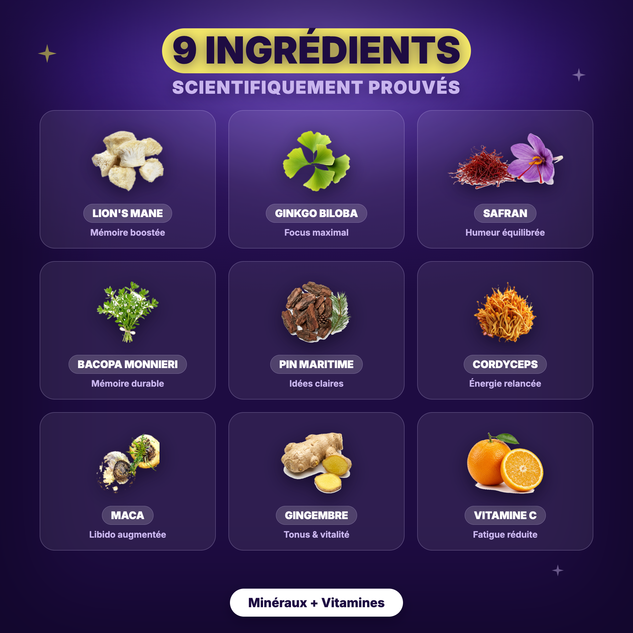 Les 9 ingrédients du Pack Entrepreneur Mush n Go - Lion's Mane, Safran, Bacopa Monnieri, Ginkgo Biloba, Pin Maritime, Cordyceps, Maca, Gingembre et Vitamine C