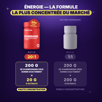 Formule Énergie du Pack Entrepreneur - Extraits concentrés, ratio 20:1