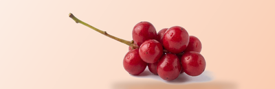 Baies de schisandra