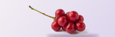 Schisandra