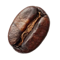 Caféine microencapsulée – Newcaff®