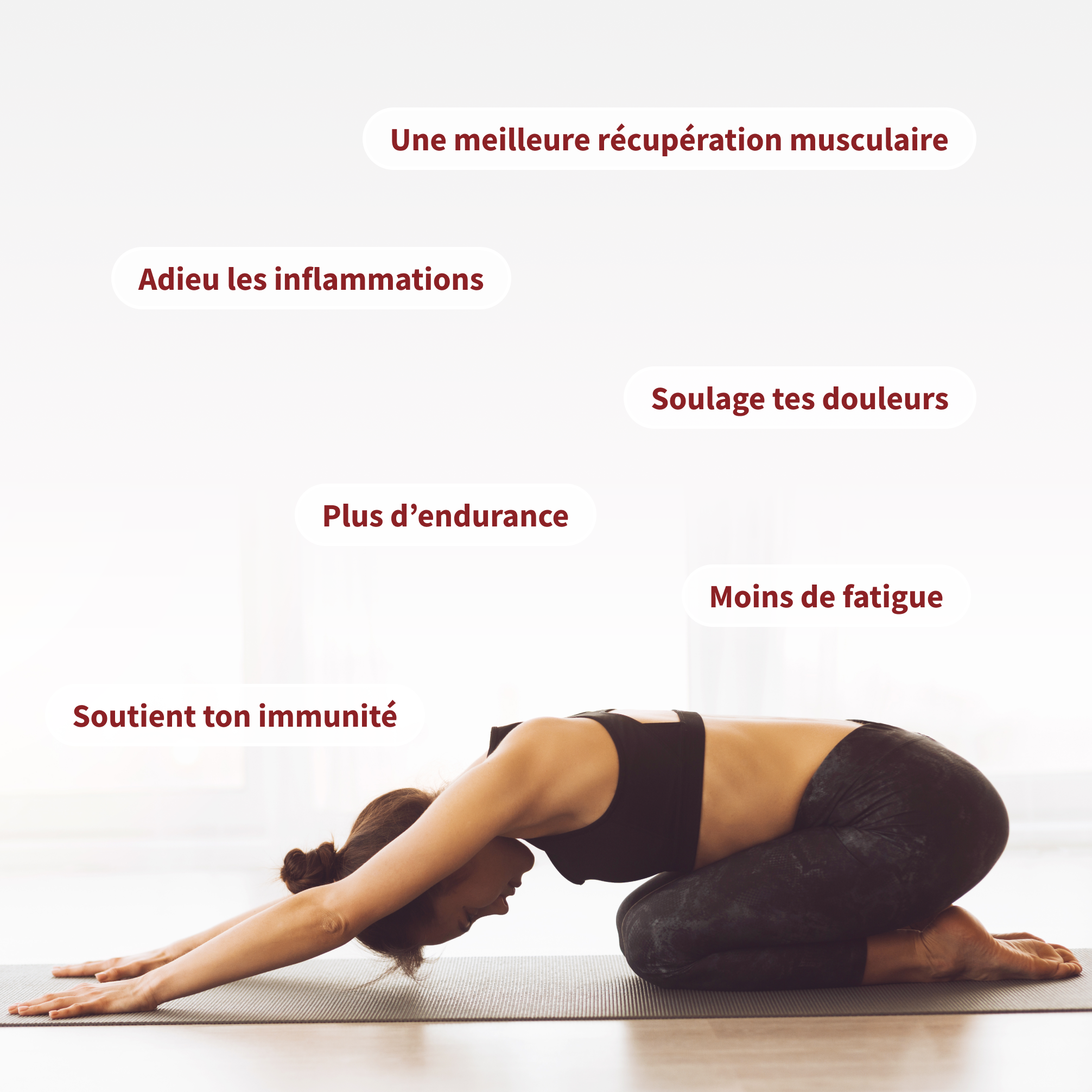 Bienfaits Récupération Musculaire Mush n Go - Muscles, inflammations, endurance, fatigue et immunité