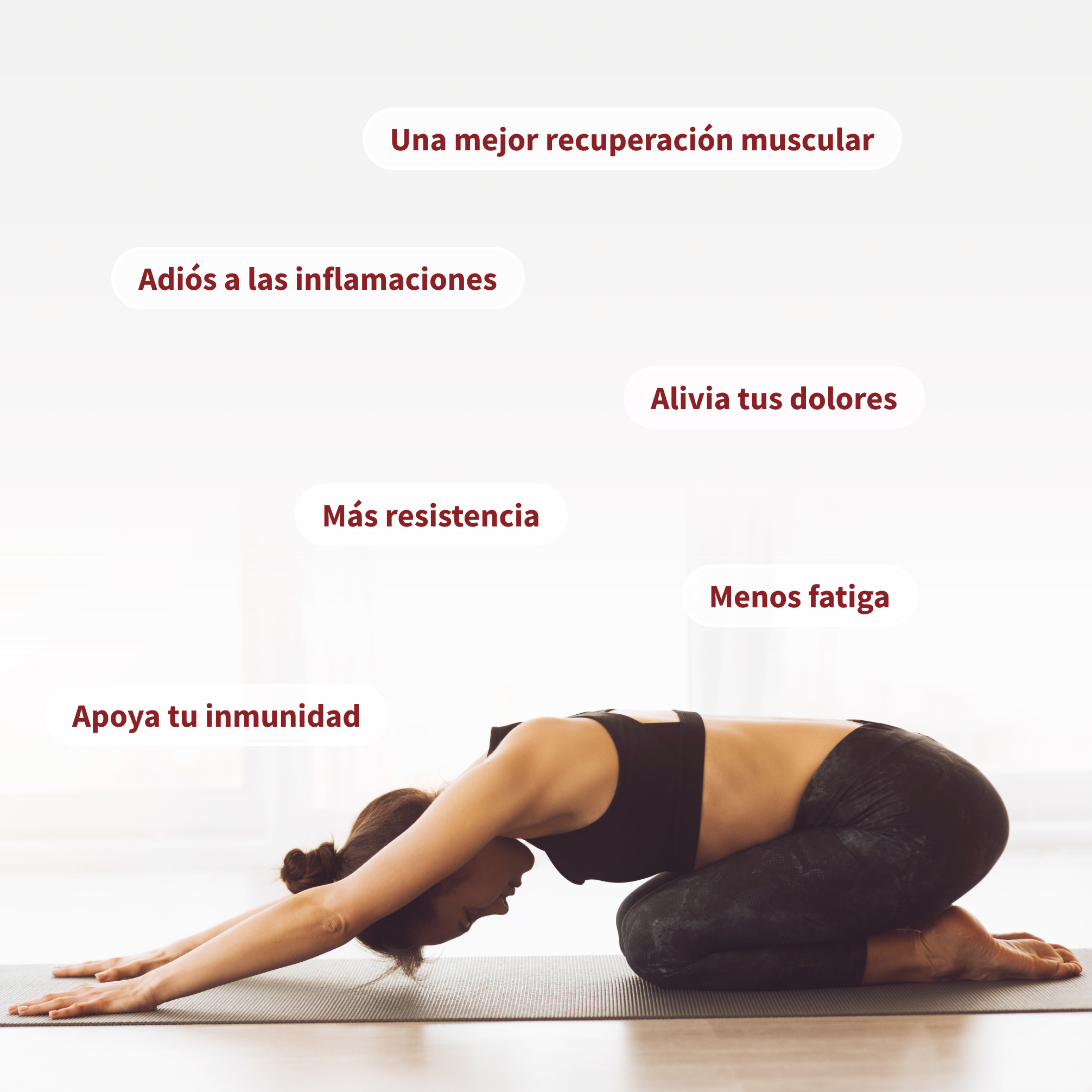 recuperation bienfaits muscles inflammations endurance immunite