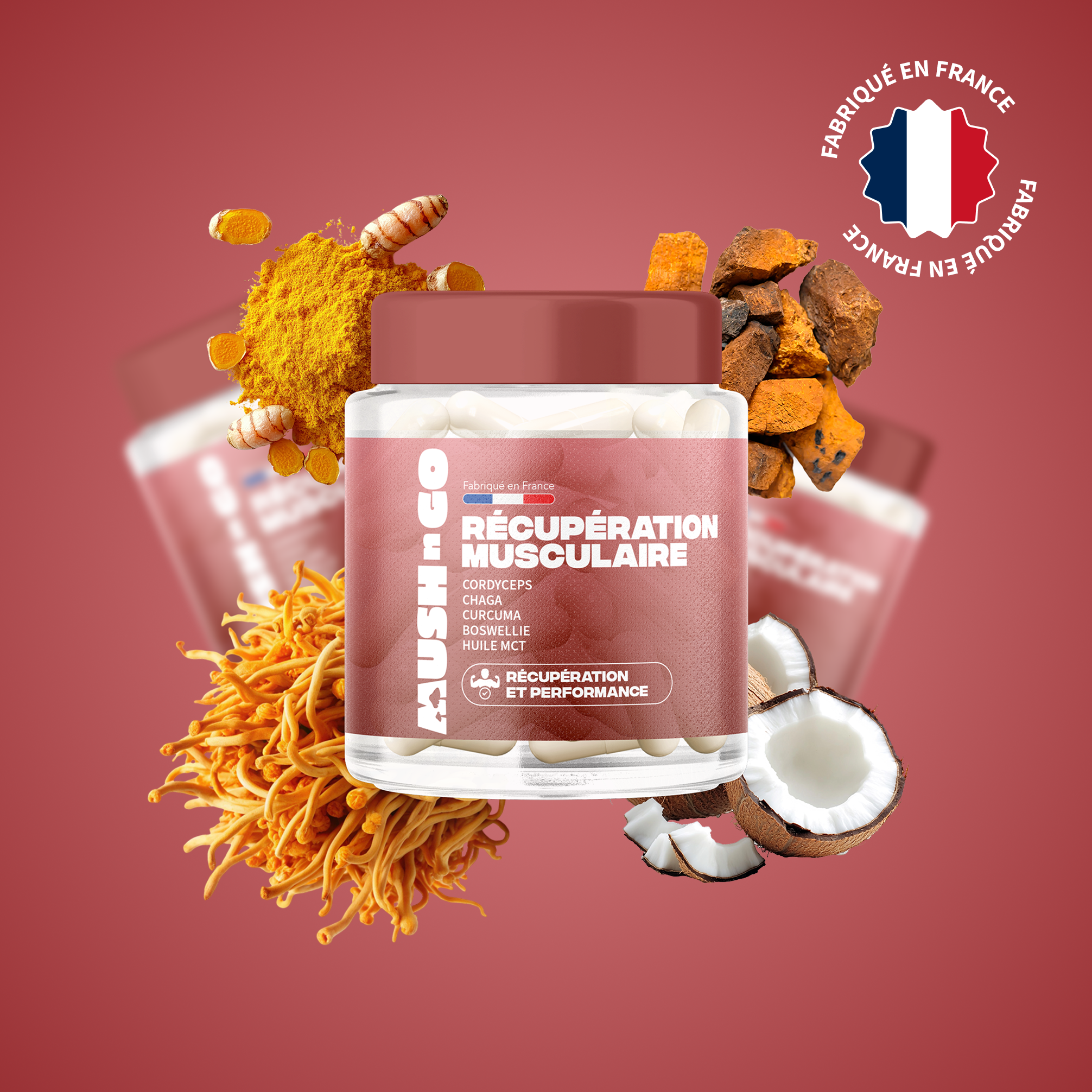 Récupération Musculaire Mush n Go - Complément alimentaire Cordyceps et Chaga pour récupération et performance sportive, fabriqué en France