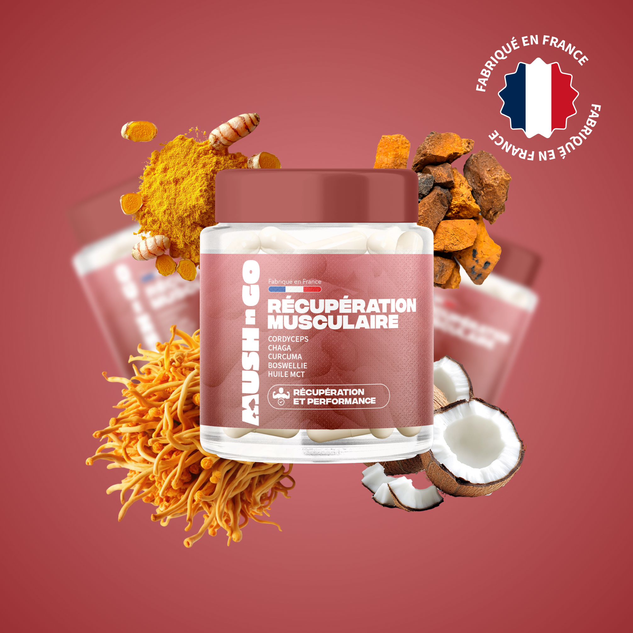 recuperation musculaire mush n go complement cordyceps chaga performance