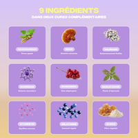 Les 9 ingredients du Pack Relaxation Mush n Go : ashwagandha, reishi, valeriane, bisglycinate de magnesium, schisandra, basilic sacre, vitamine B6, melatonine et fibre d'acacia