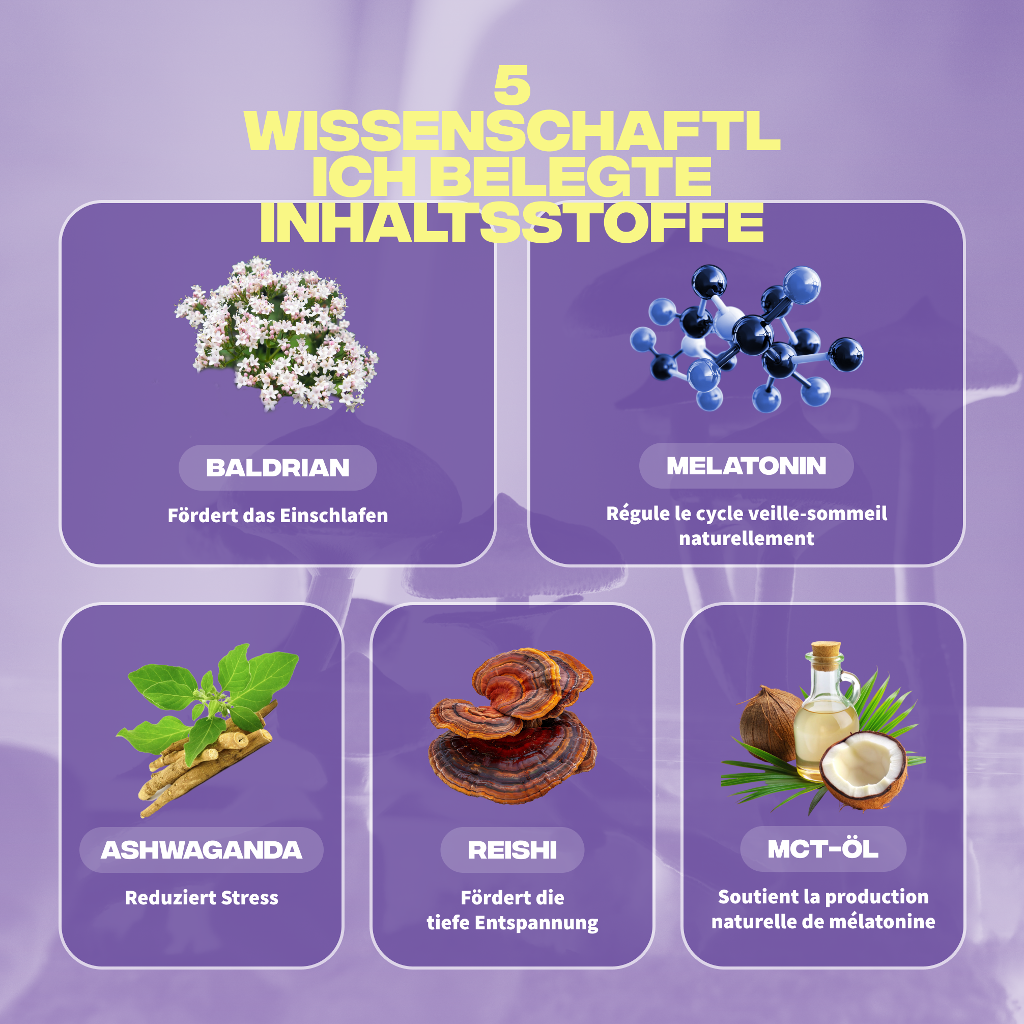 sommeil ingredients valeriane melatonine ashwagandha reishi huile mct