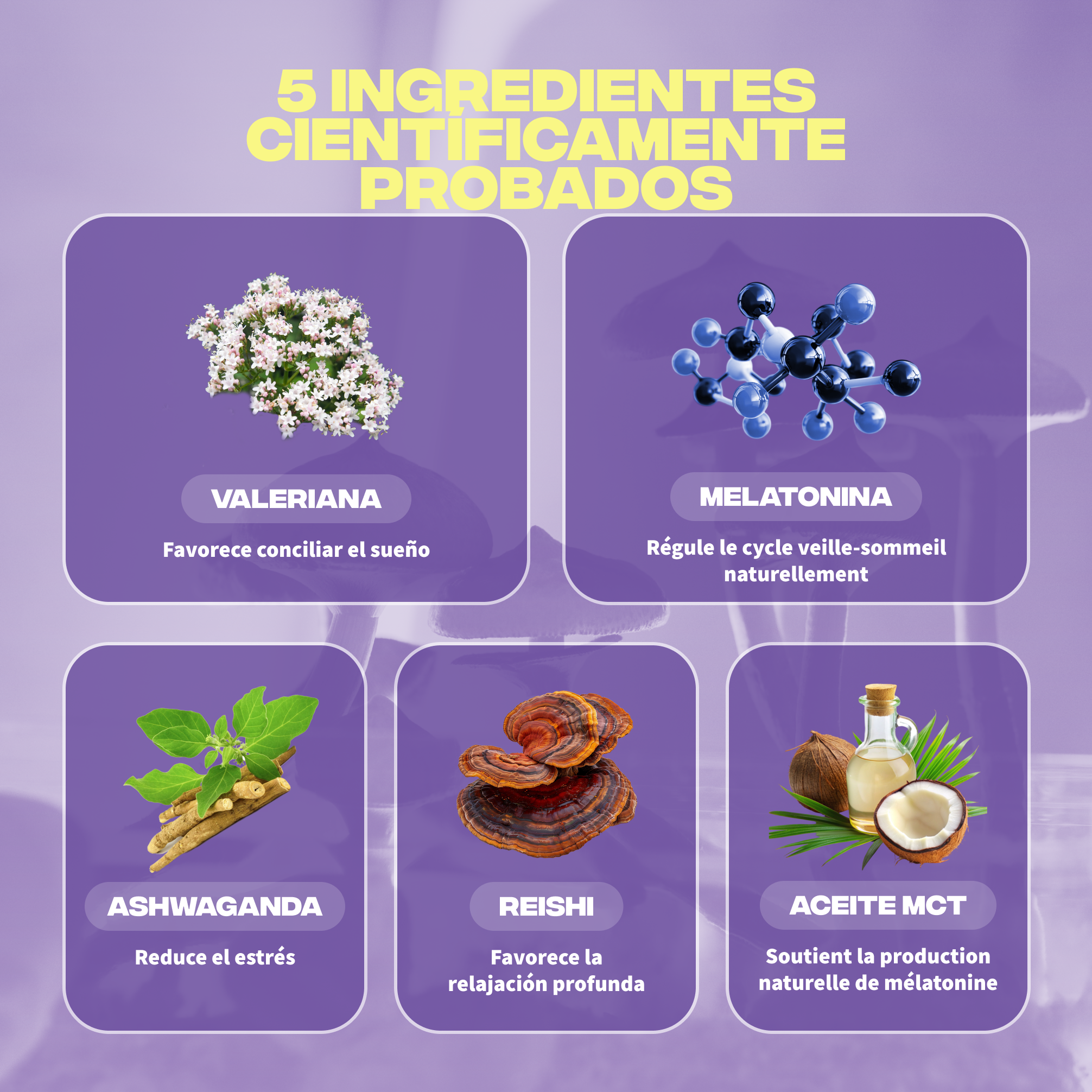 sommeil ingredients valeriane melatonine ashwagandha reishi huile mct