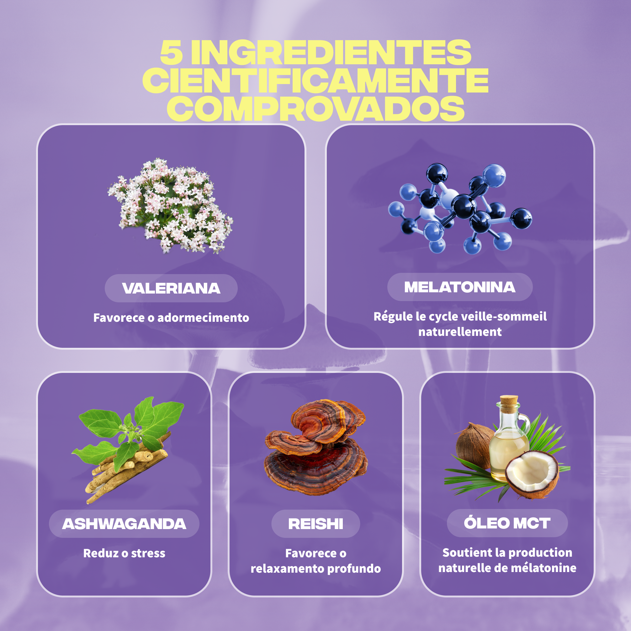 sommeil ingredients valeriane melatonine ashwagandha reishi huile mct