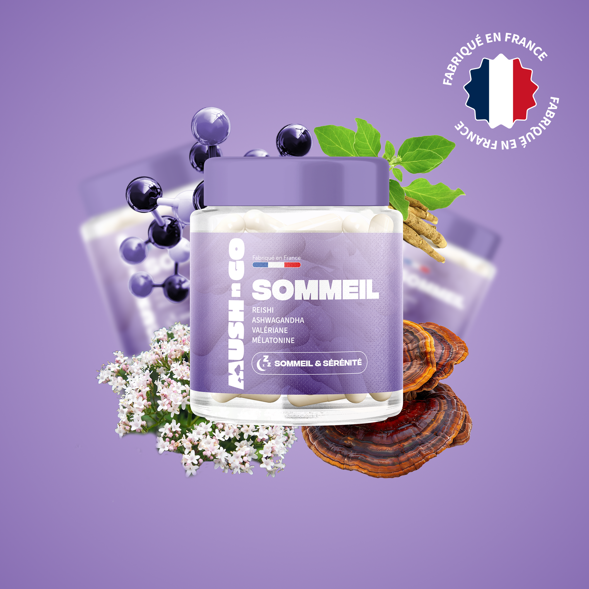 Sommeil+ Mush n Go - Complément alimentaire Reishi, Valériane, Ashwagandha et Mélatonine pour un sommeil réparateur, fabriqué en France