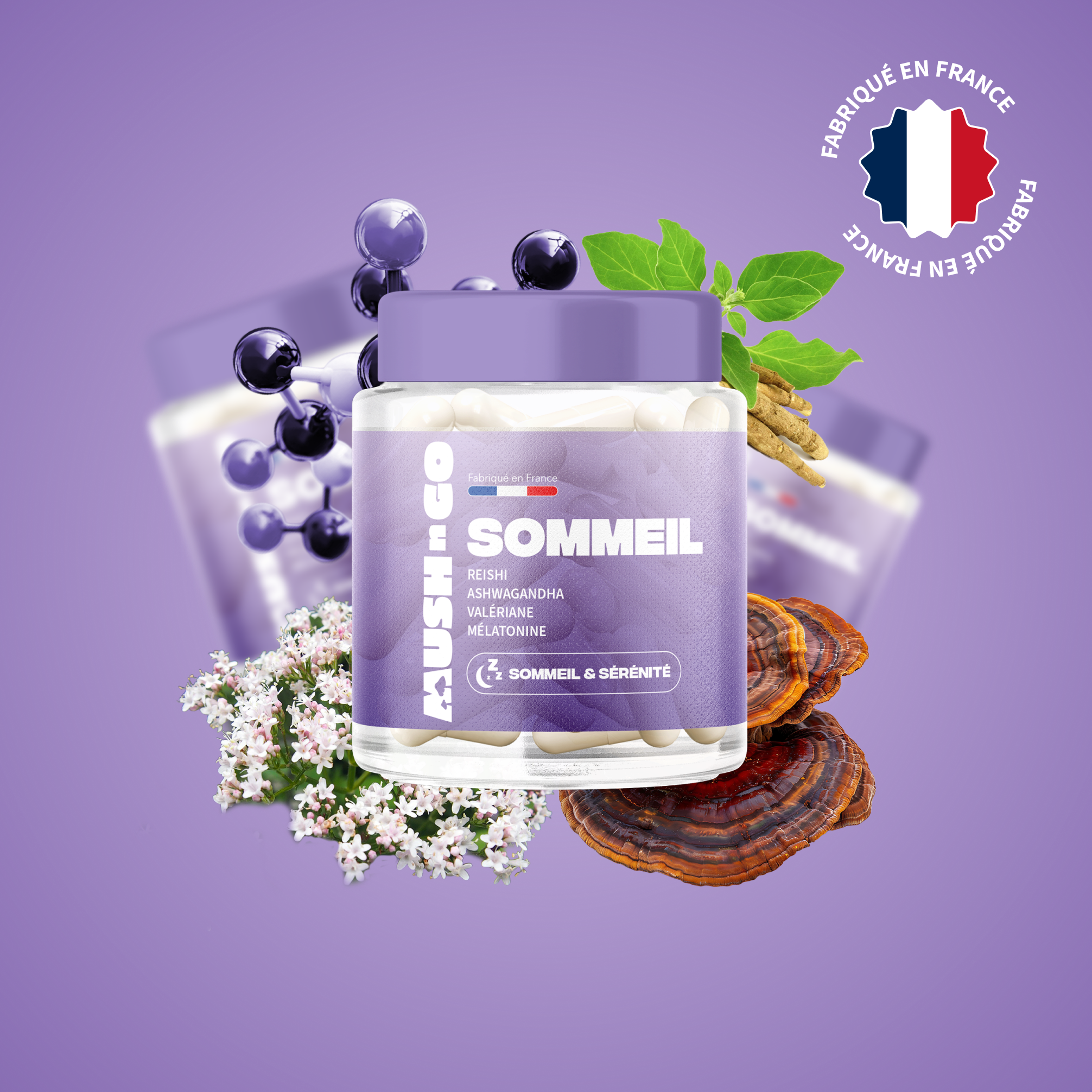 sommeil mush n go complement reishi valeriane melatonine