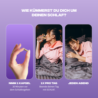 sommeil posologie 1 gelule 30 min avant dormir tous les soirs