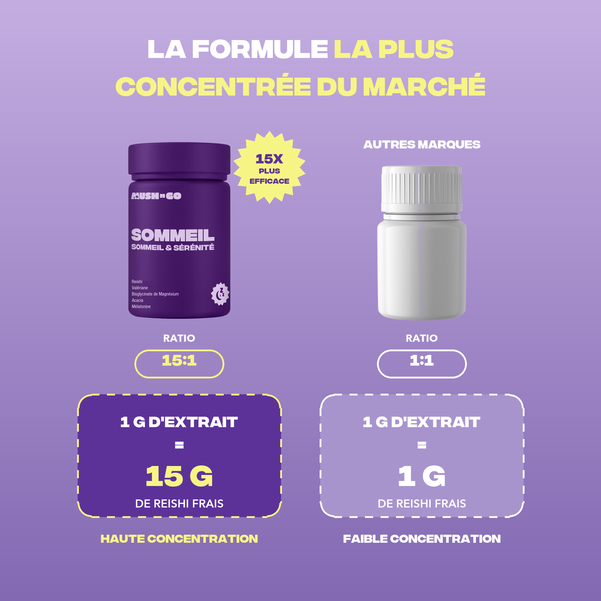 Formule Sommeil+ Mush n Go la plus concentrée du marché - Ratio 15:1, 1 g d'extrait pour 15 g de Reishi frais