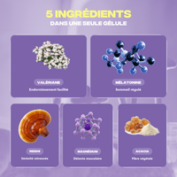 Ingrédients Sommeil+ Mush n Go - Reishi, Valériane, Bisglycinate de Magnésium, Fibre d'Acacia et Mélatonine