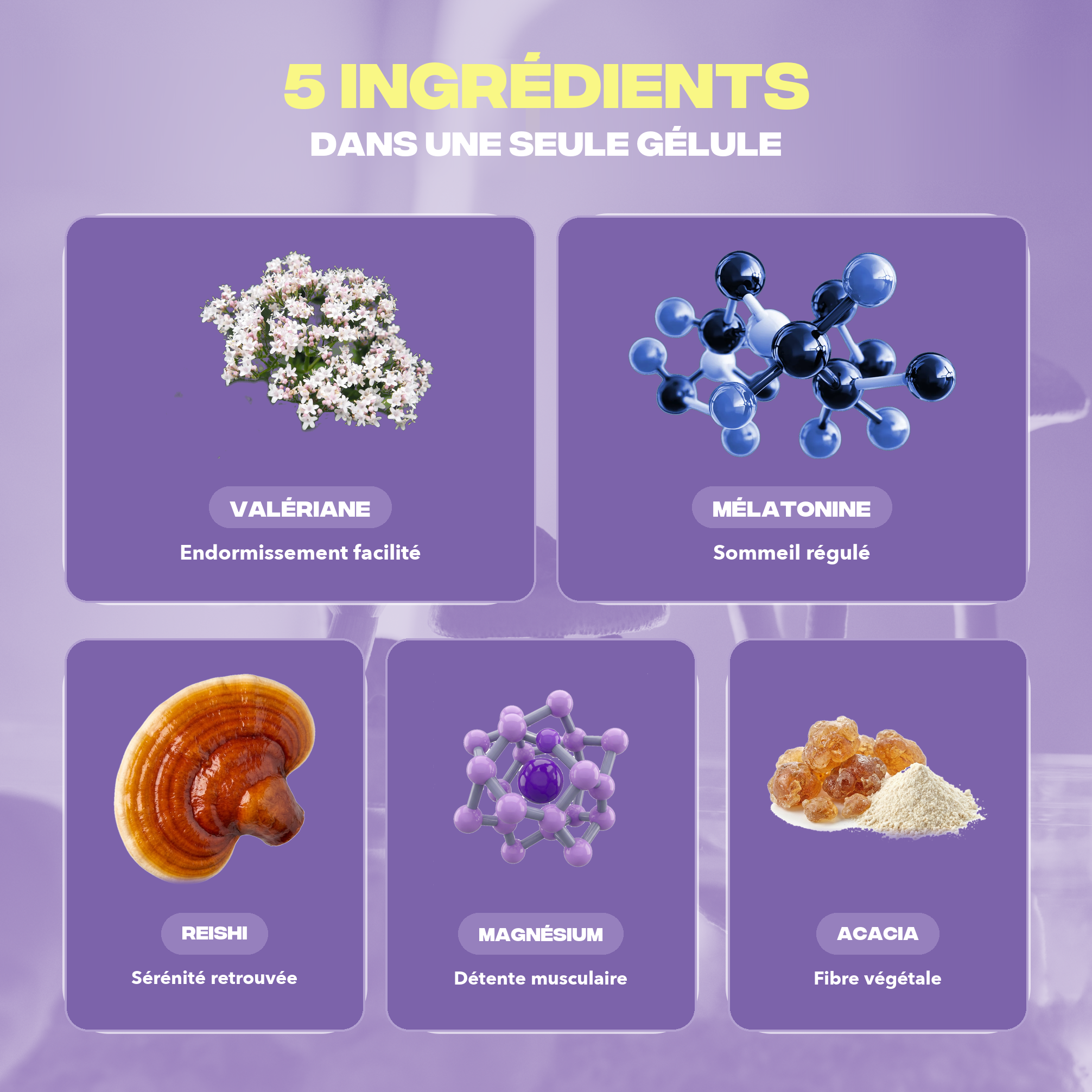 Ingrédients Sommeil+ Mush n Go - Reishi, Valériane, Bisglycinate de Magnésium, Fibre d'Acacia et Mélatonine