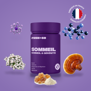 Sommeil +