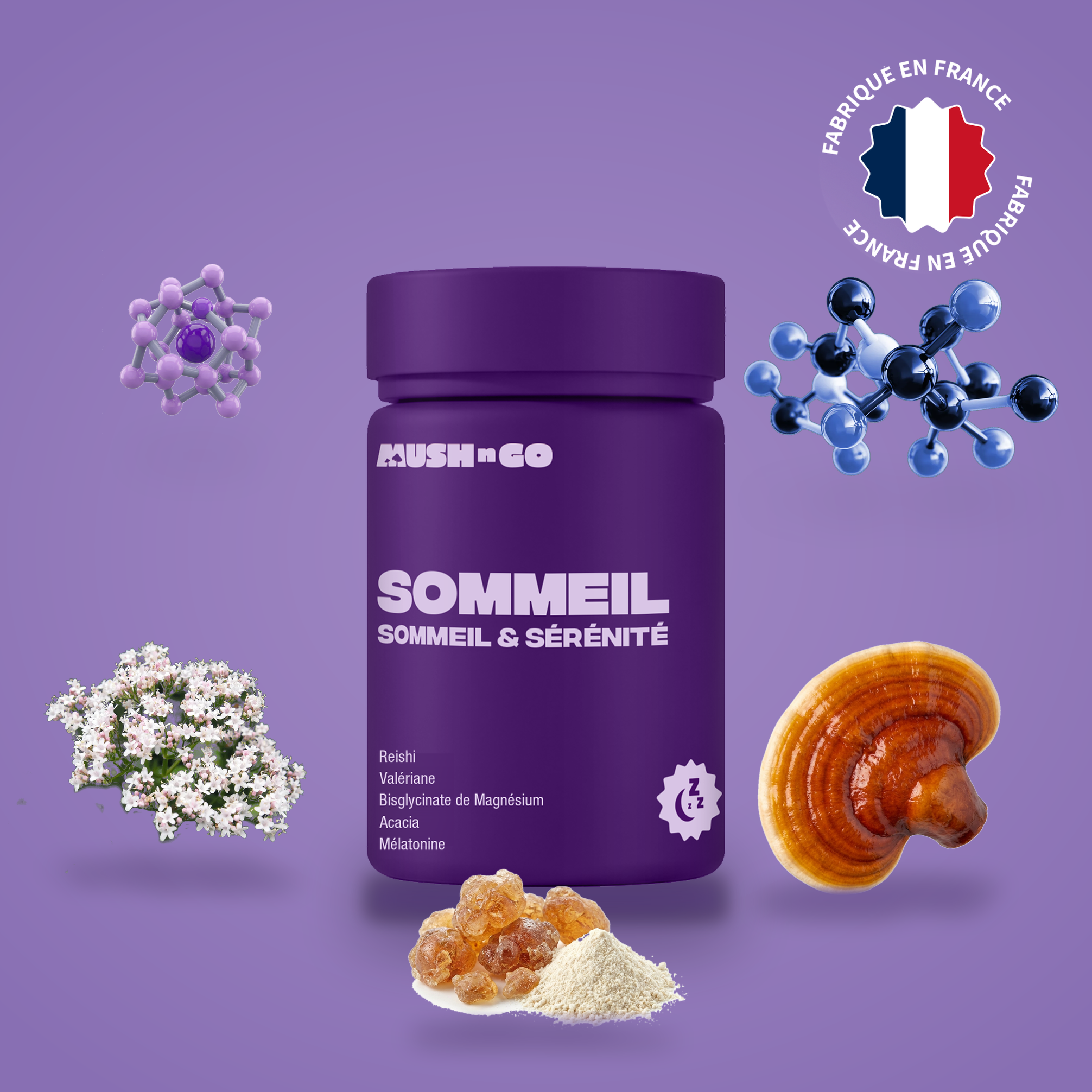 Sommeil+ Mush n Go - Complément alimentaire Reishi, Valériane, Magnésium et Mélatonine pour un sommeil réparateur, fabriqué en France