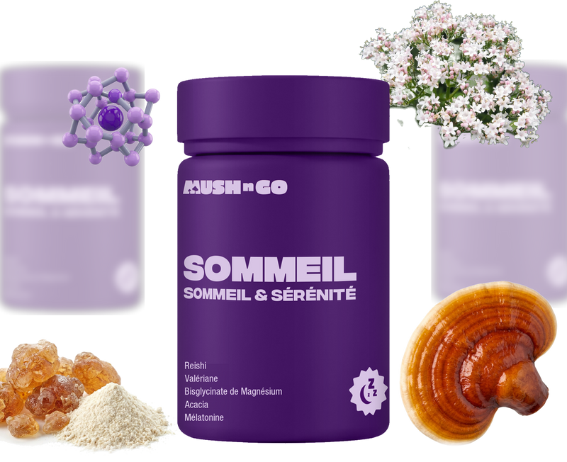 Bienfaits Sommeil+ Mush n Go