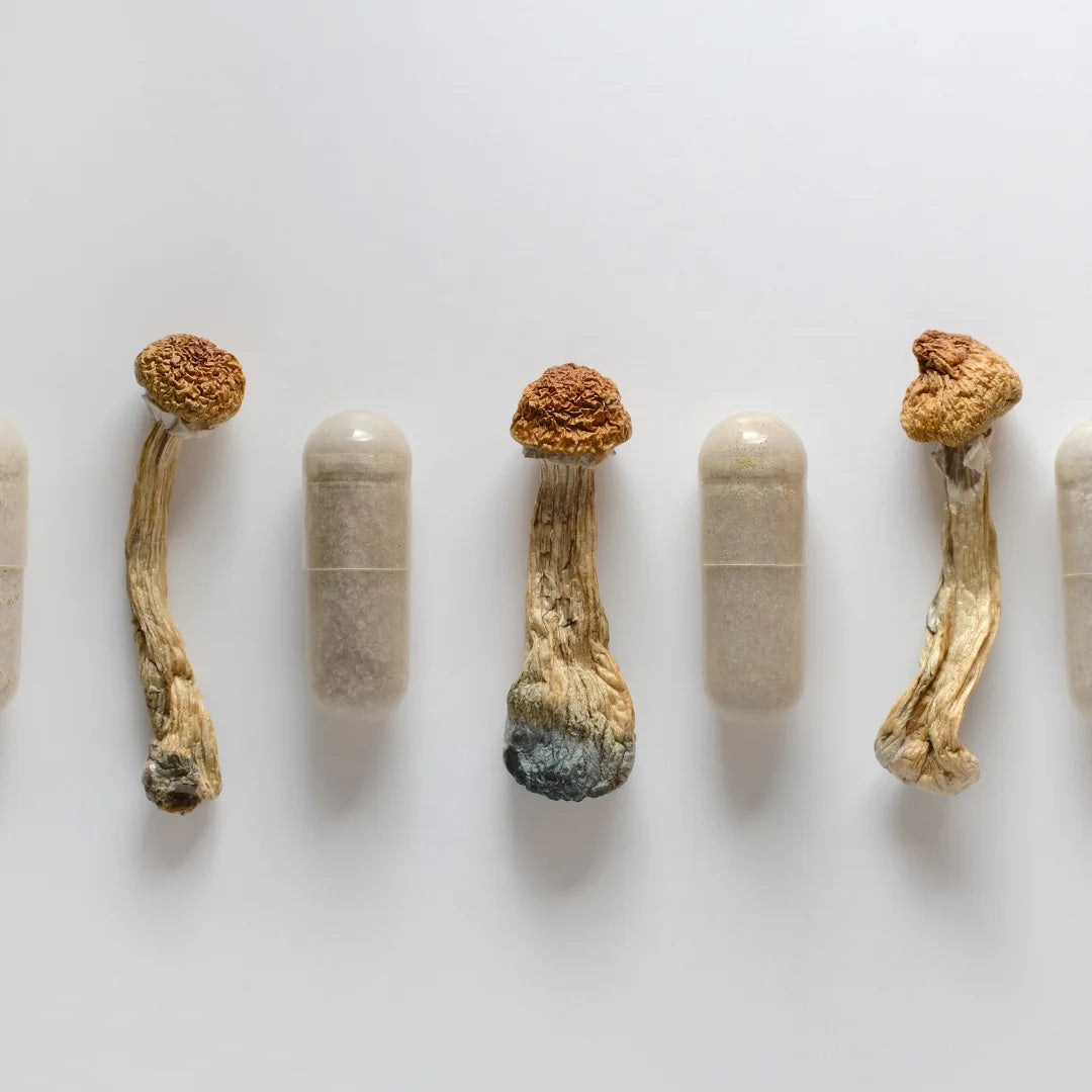 Why are Adaptogenic Mushrooms Little Known?