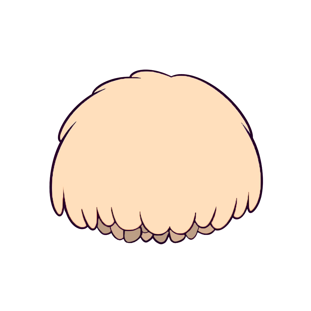 Lion's Mane