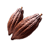 Cacao