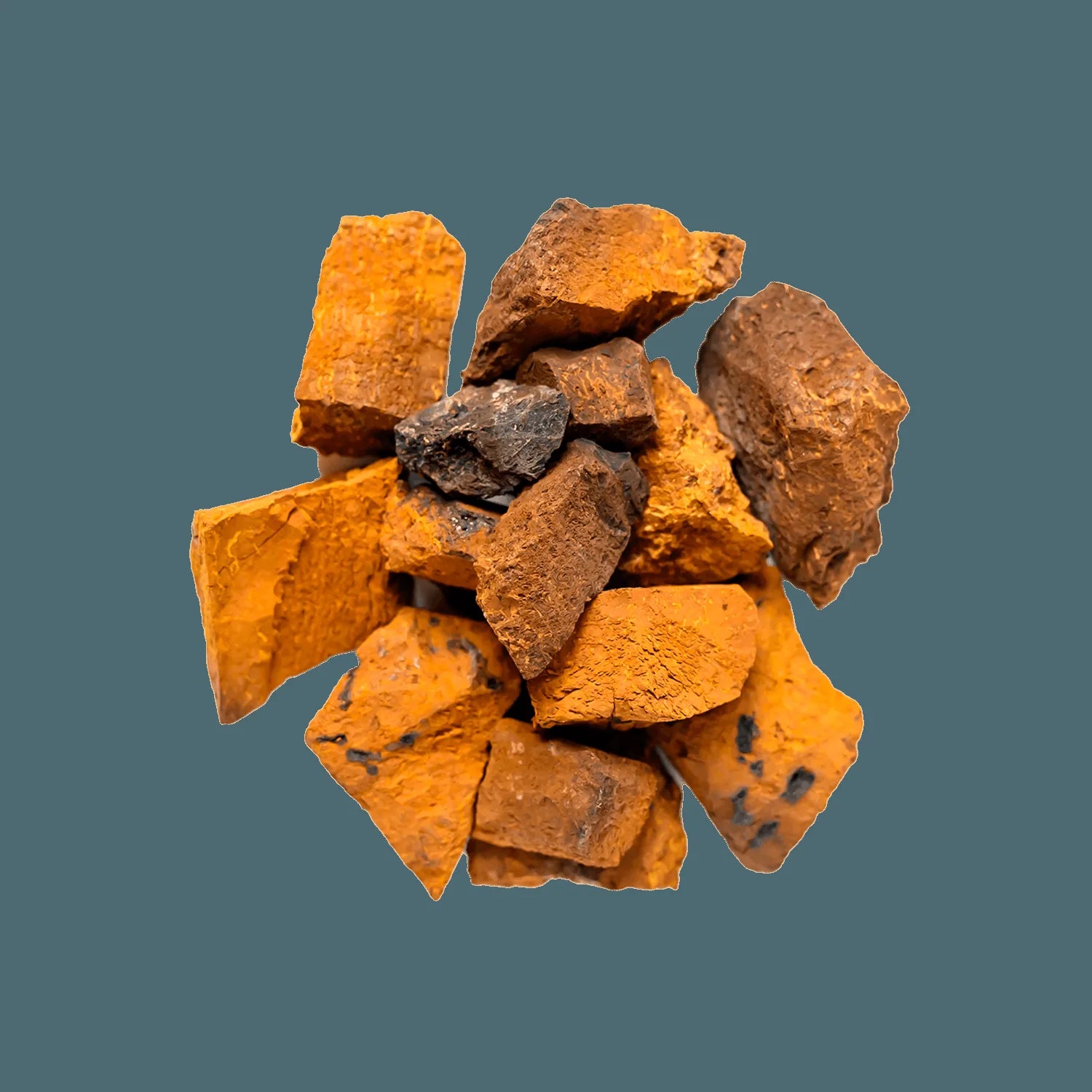 Chaga