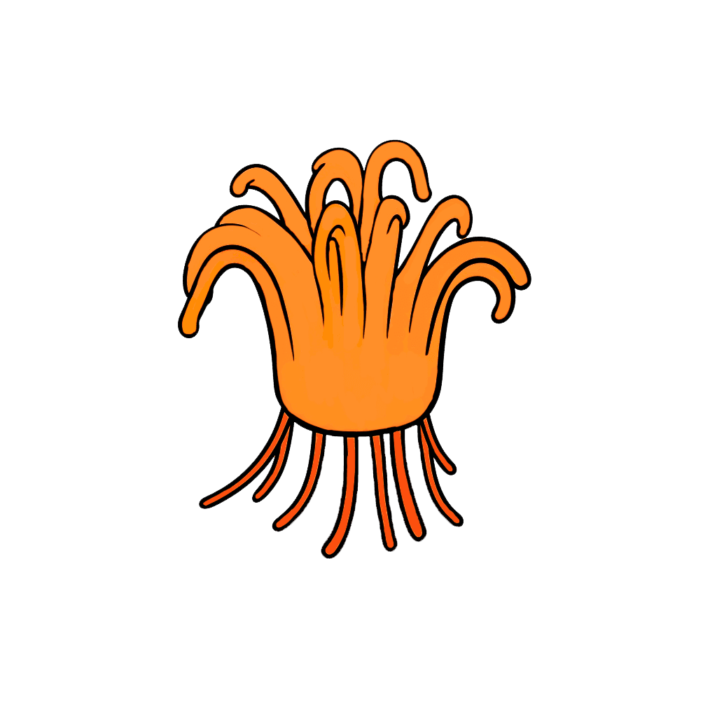 Cordyceps