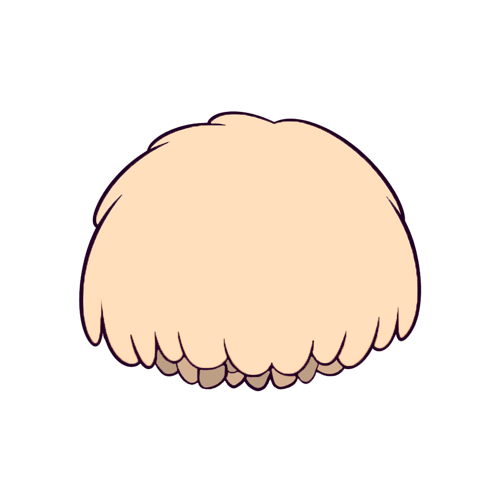 Lion's Mane