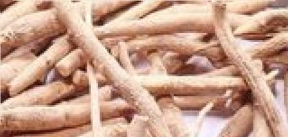 Racines d'ashwagandha