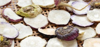 Rondelles de racine de maca séchées