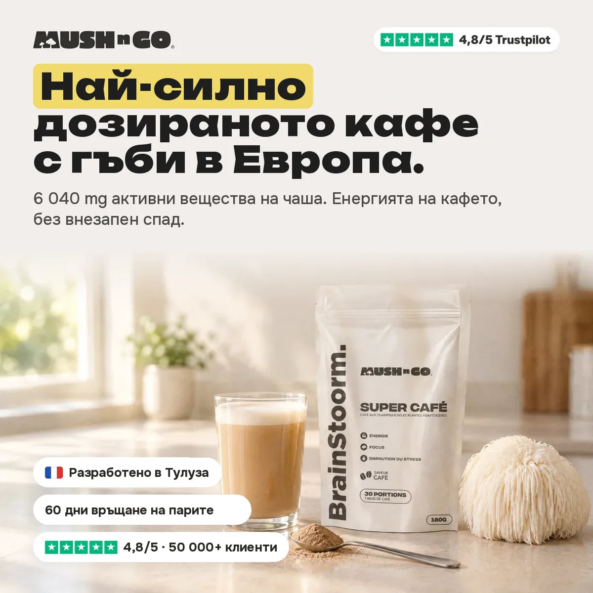 Brainstoorm Café, най-високо дозираното кафе с гъби в Европа