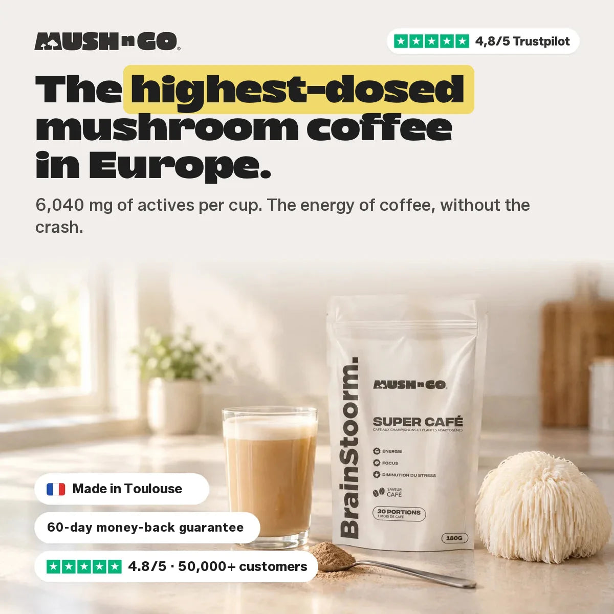 Brainstoorm Café, the highest-dosed mushroom coffee in France