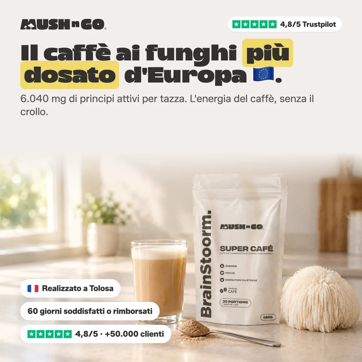 Brainstoorm Café, il caffè ai funghi più dosato d'Europa