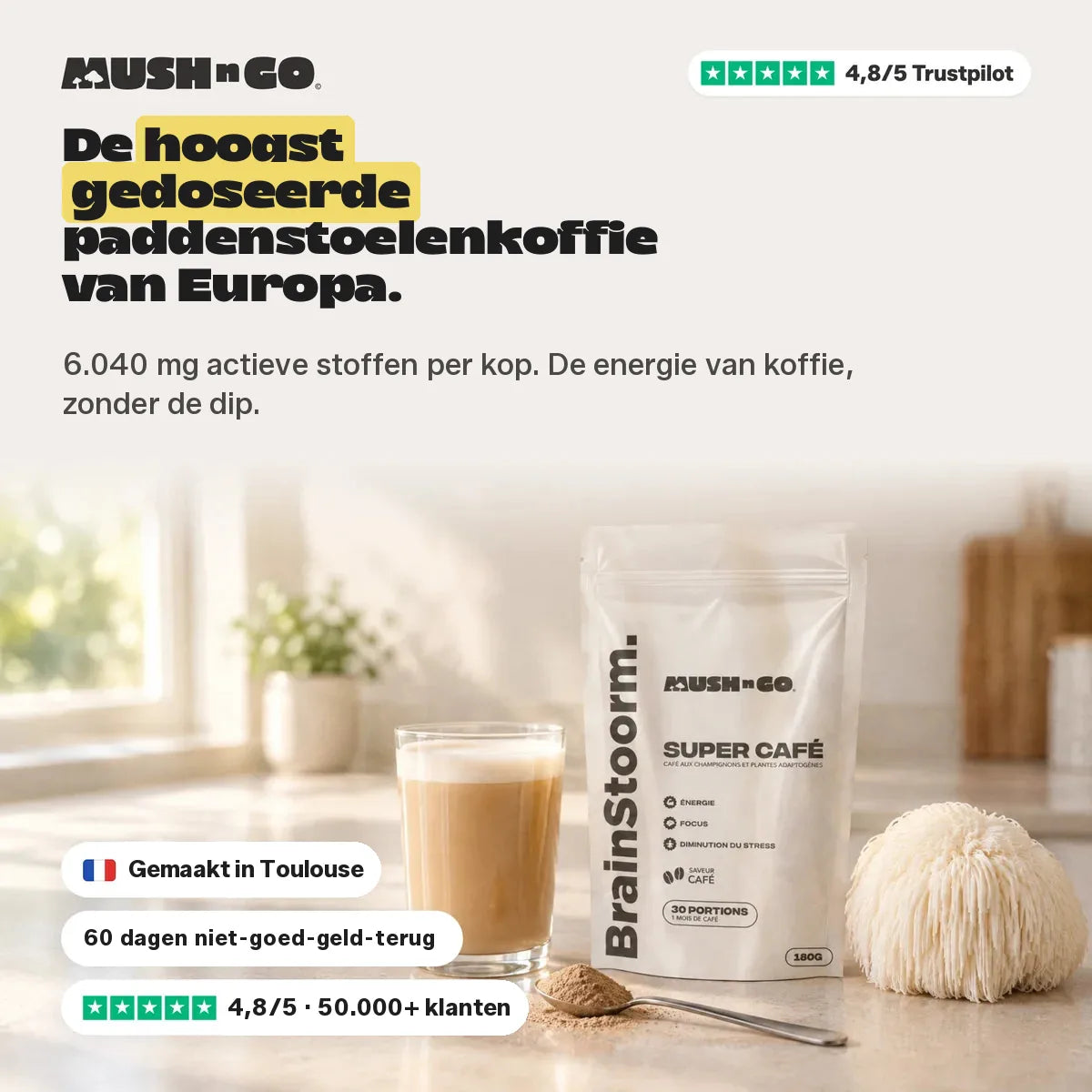 Brainstoorm Café, de hoogst gedoseerde paddenstoelen koffie van Europa