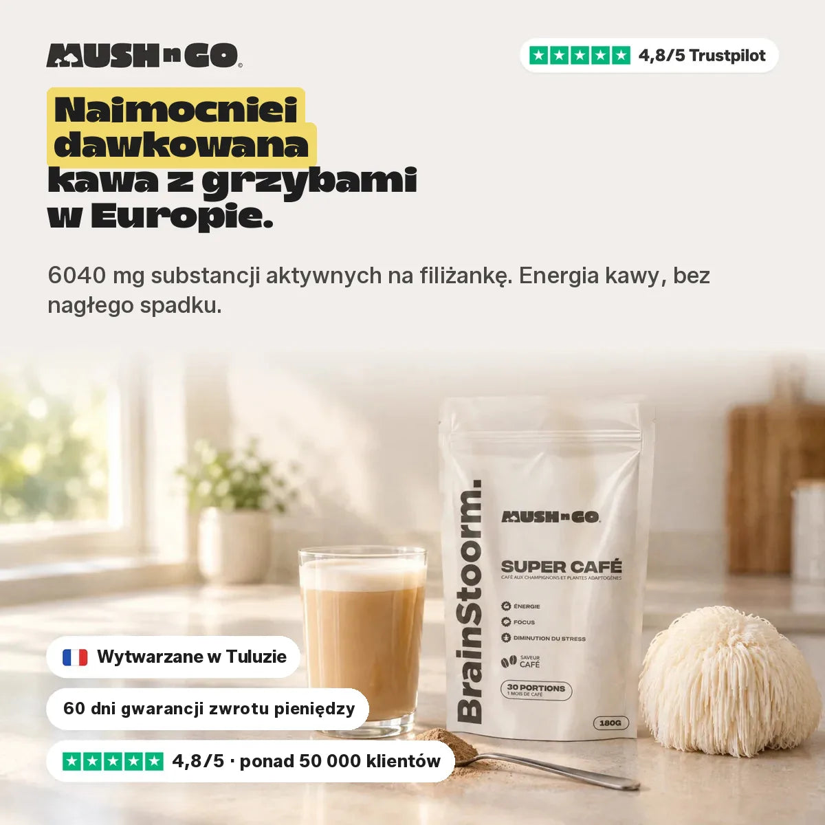 Brainstoorm Café, najmocniej dozowana kawa z grzybami w Europie