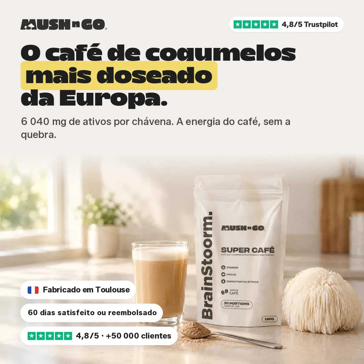 Brainstoorm Café, o café de cogumelos mais doseado de França
