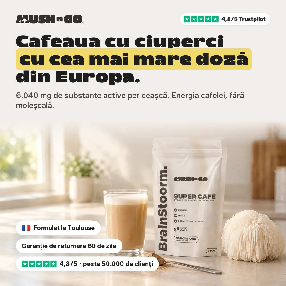 Brainstoorm Café, cea mai concentrată cafea cu ciuperci din Europa