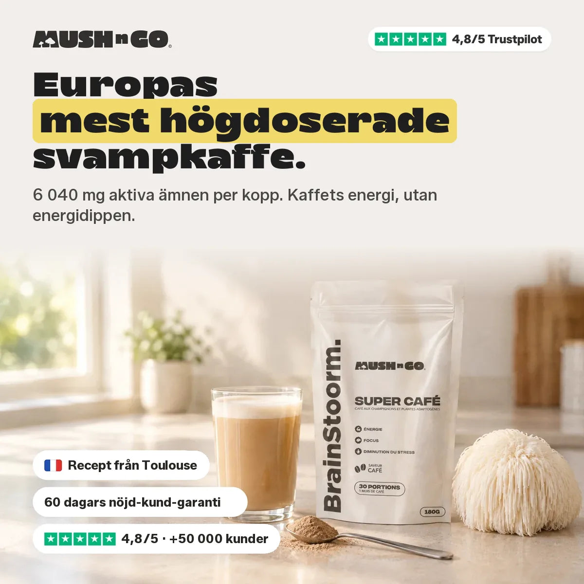 Brainstoorm Café, Europas mest högdoserade svampkaffe