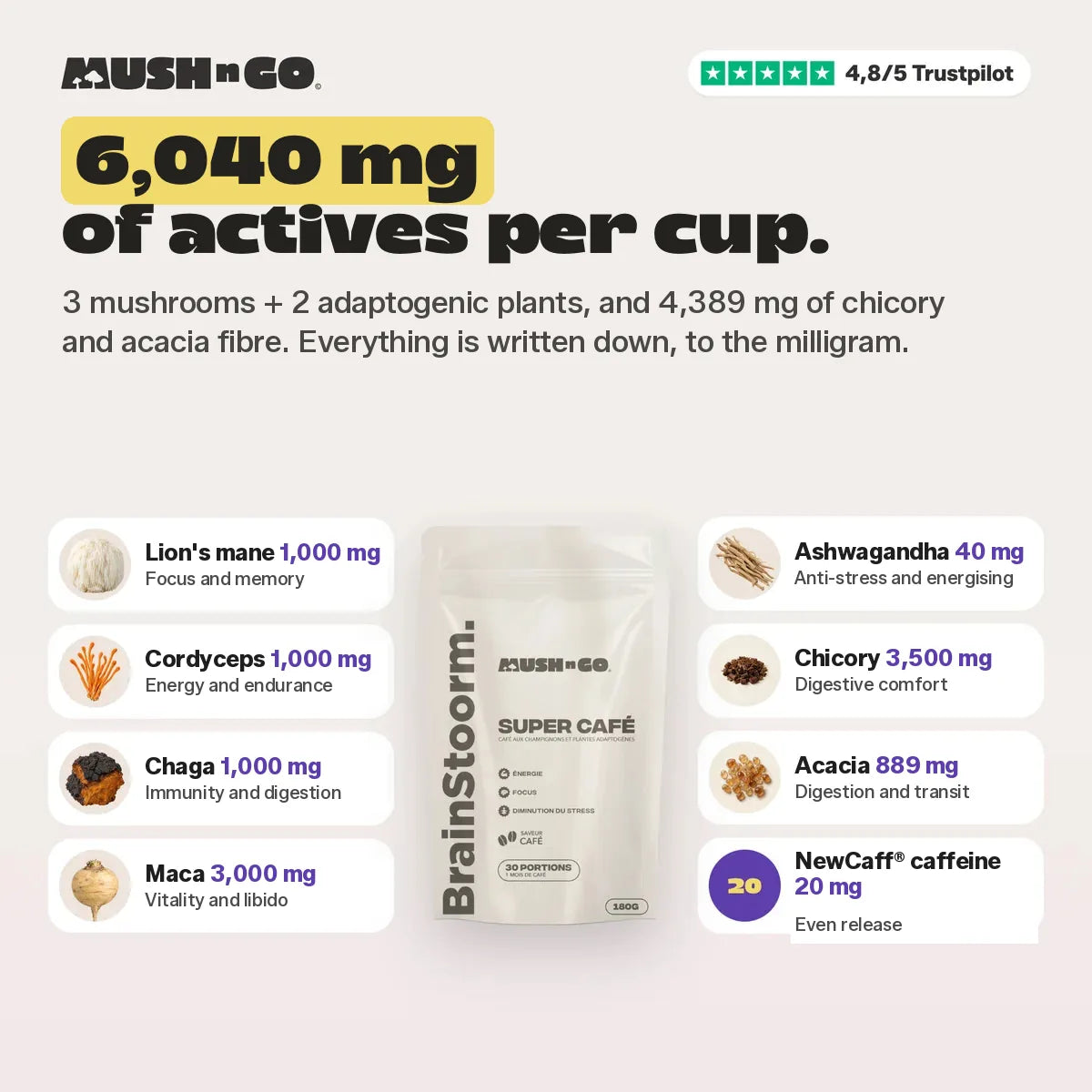 6,040 mg of actives per cup, ingredient by ingredient