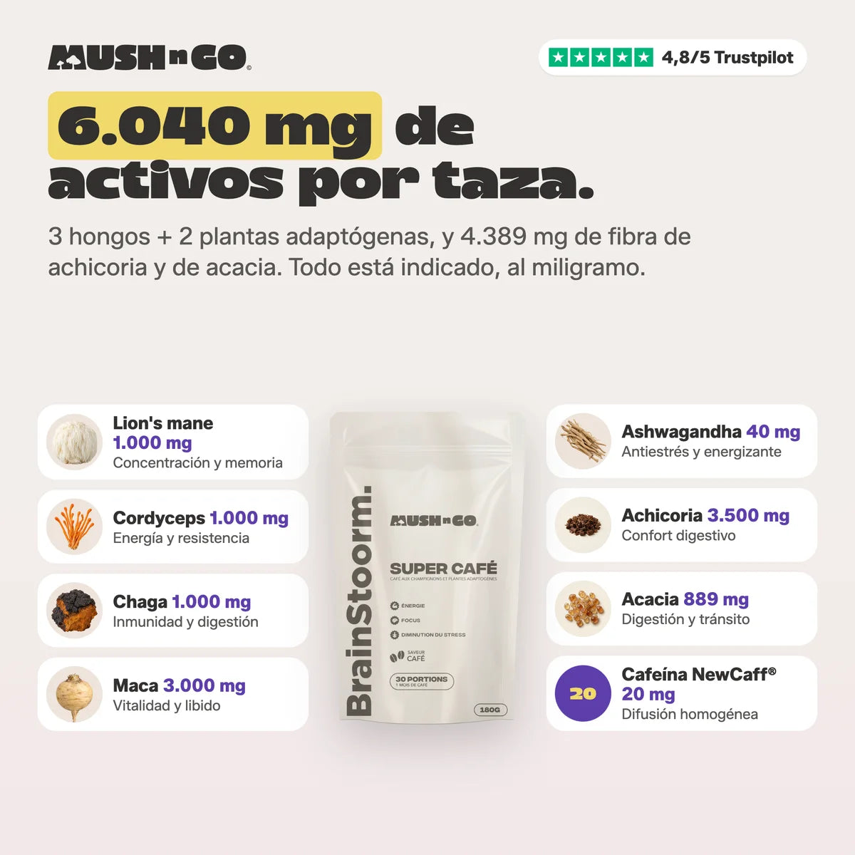 6.040 mg de activos por taza, ingrediente por ingrediente