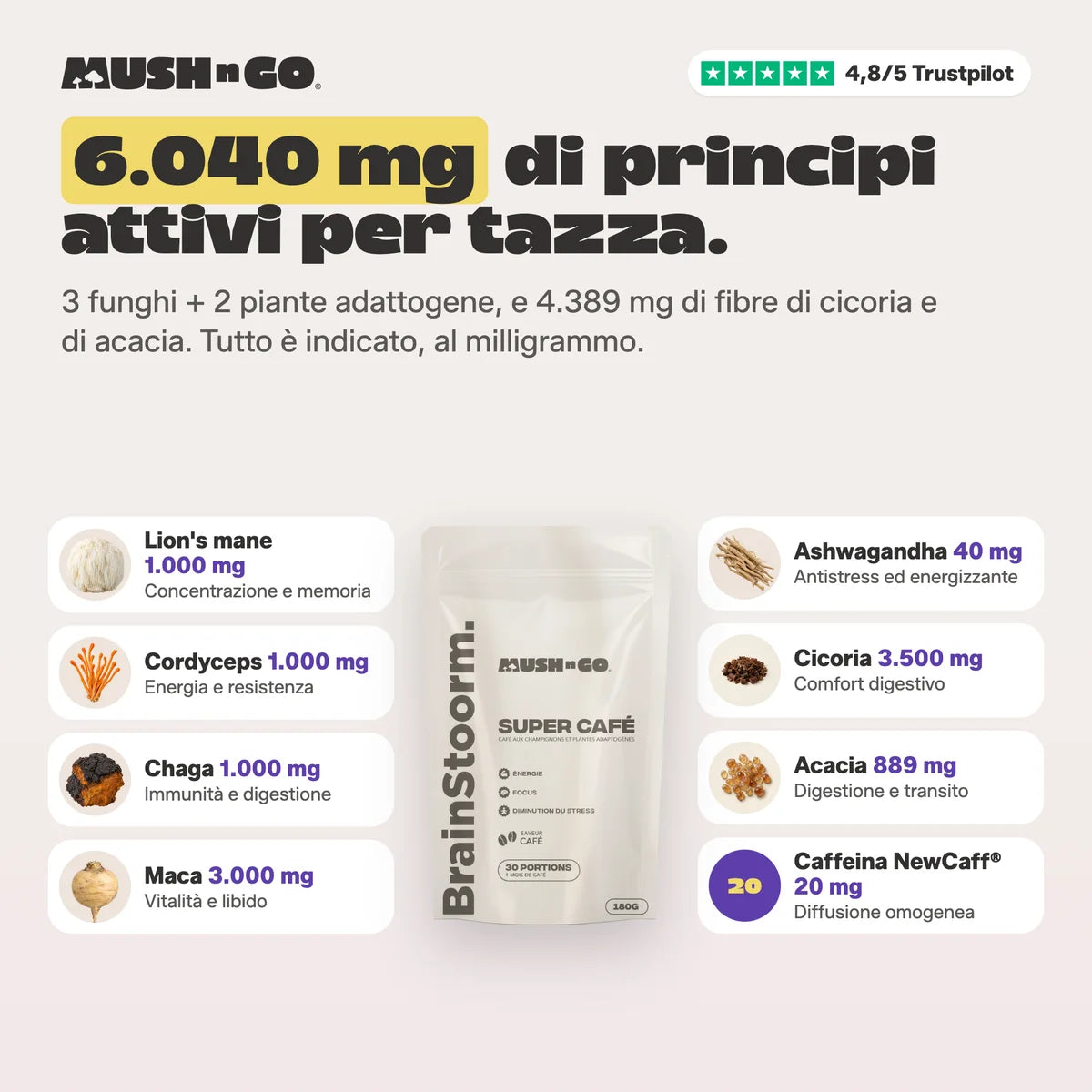 6.040 mg di principi attivi per tazza, ingrediente per ingrediente