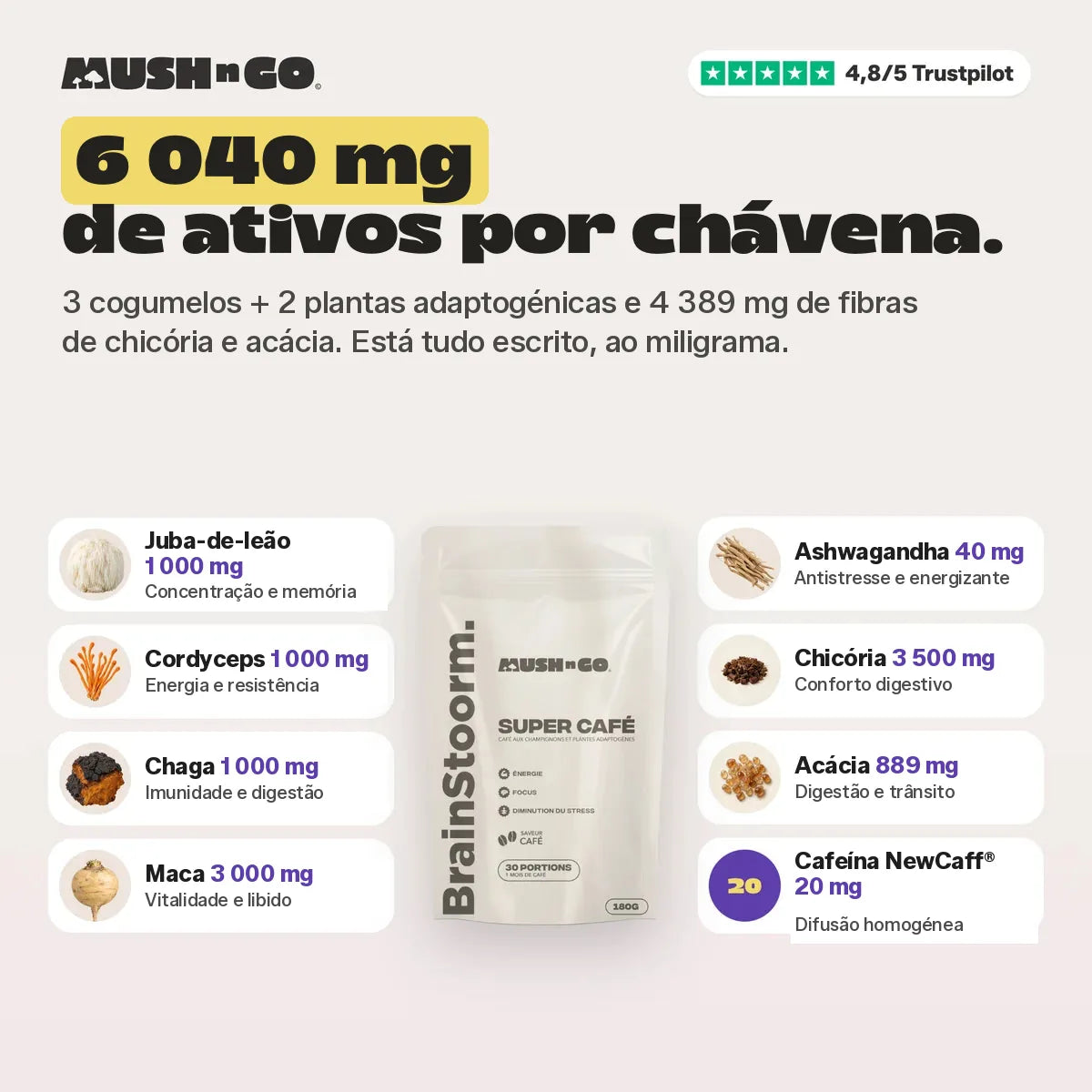 6.040 mg de ativos por chávena, ingrediente a ingrediente